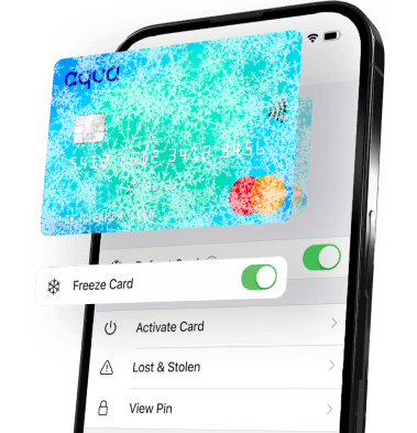 Frozen Card